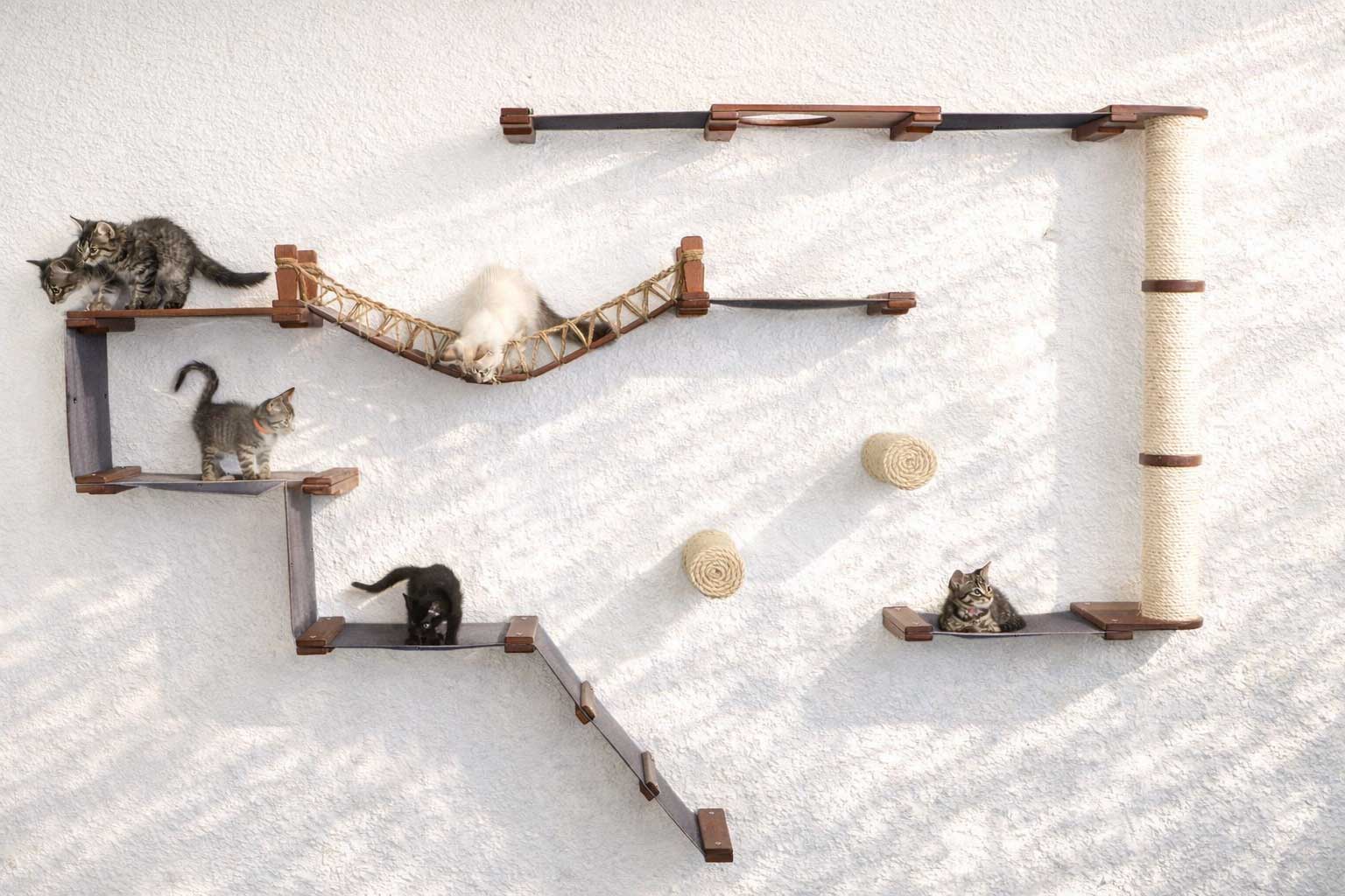 The Juggernaut - Indoor Cat Playground for Wall