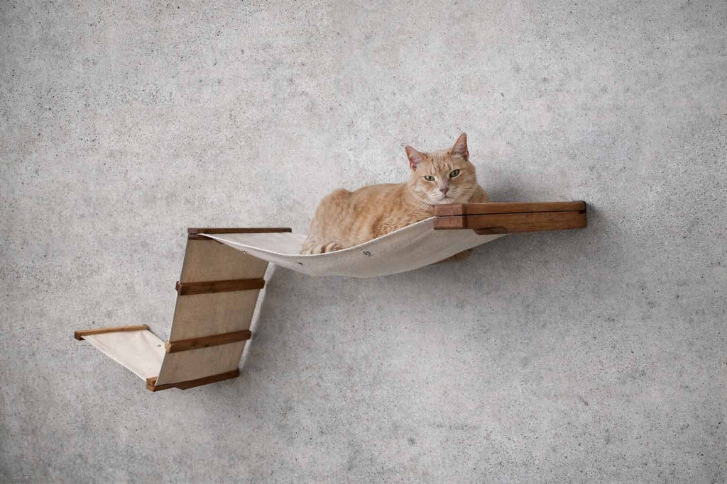 The Raceway - Wall Mounted Cat Hammock