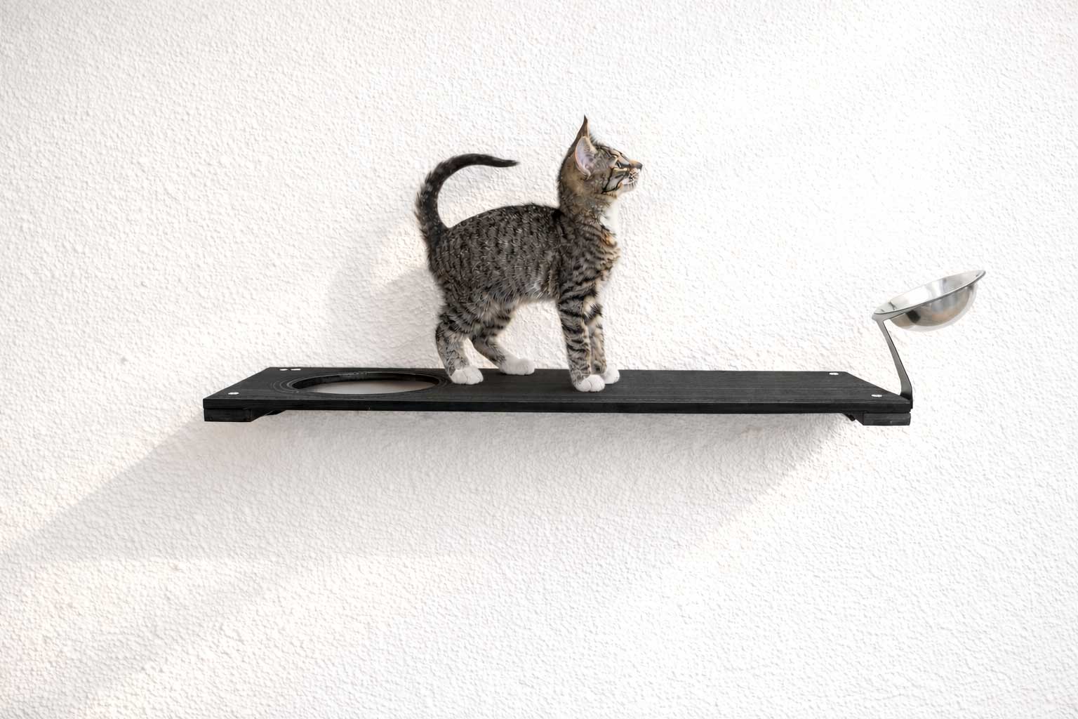 Wall Mounted Cat Feeding Shelf