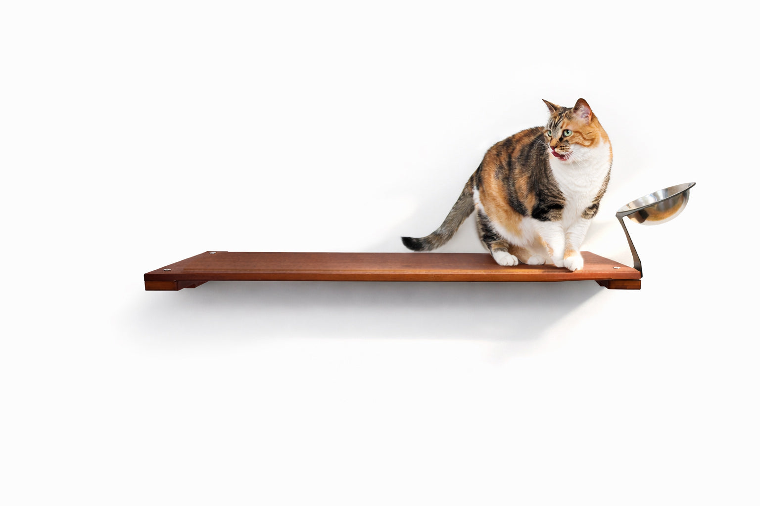 Wall Mounted Cat Feeding Shelf