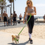 EcoBark Lime Green Step In Dog Harness - Reflective Soft Mesh Harness for Teacup, Small Dogs and Puppies