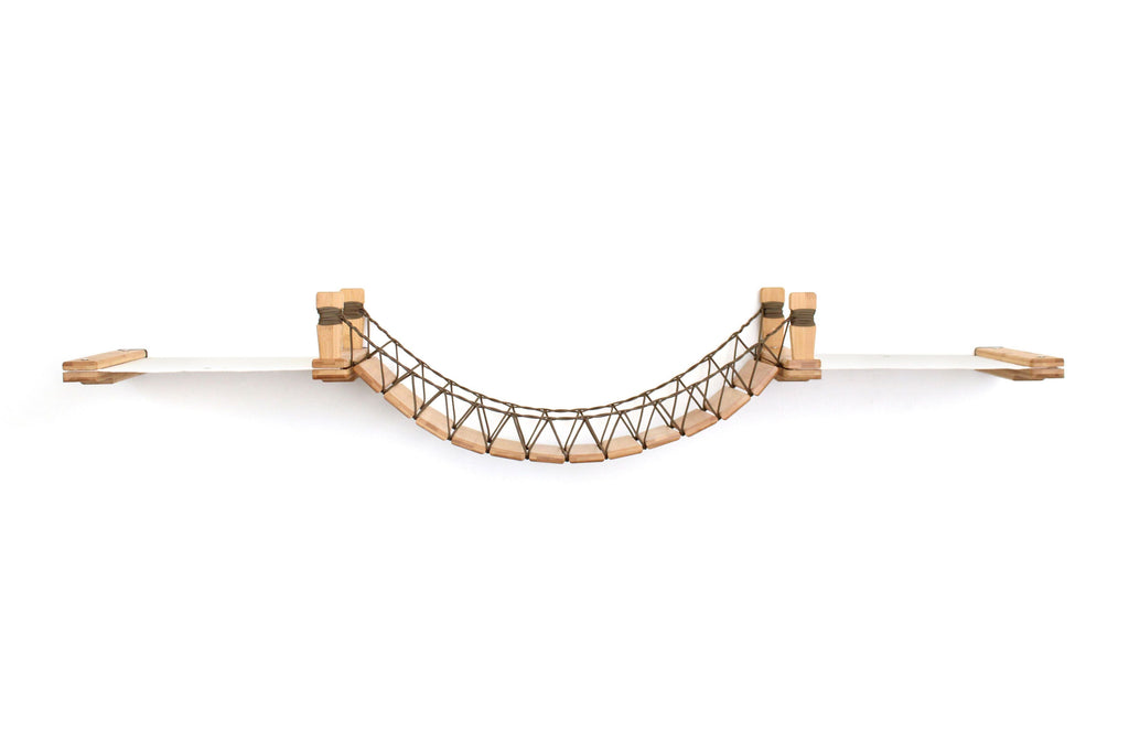 Double Cat Hammock and Climbing Bridge Combo