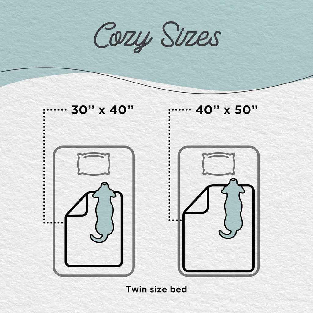 Best Friends by Sheri Blanket Shag Frost 30x40