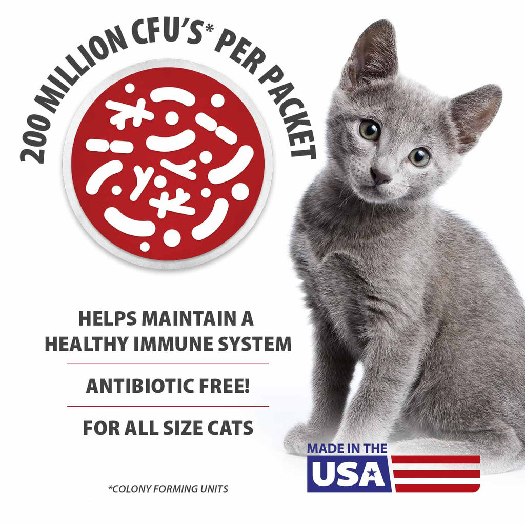 BELLY BUDDY Probiotic Supplement Packets for Cats – Multi-Strain Digestive & Immune Support