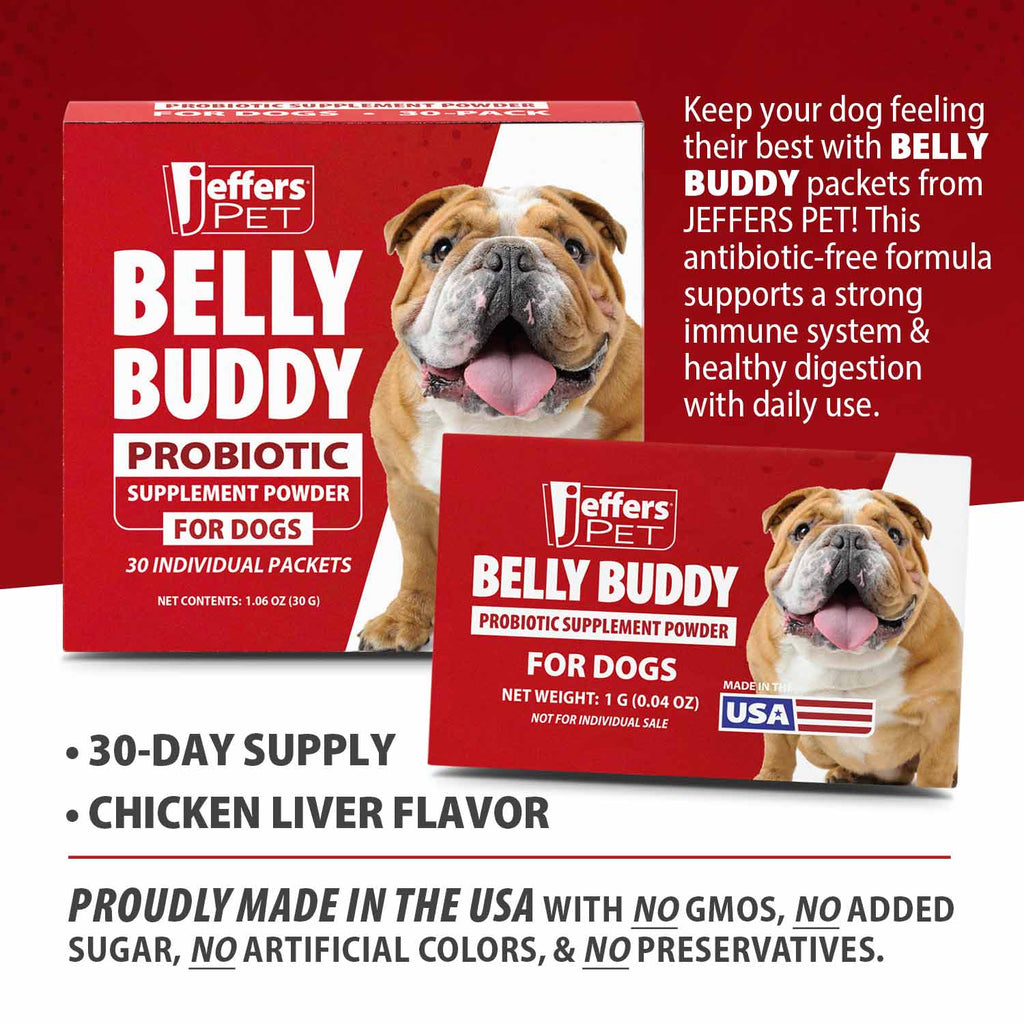 BELLY BUDDY Probiotic Supplement Powder for Dogs – Multi-Strain Digestive & Immune Support