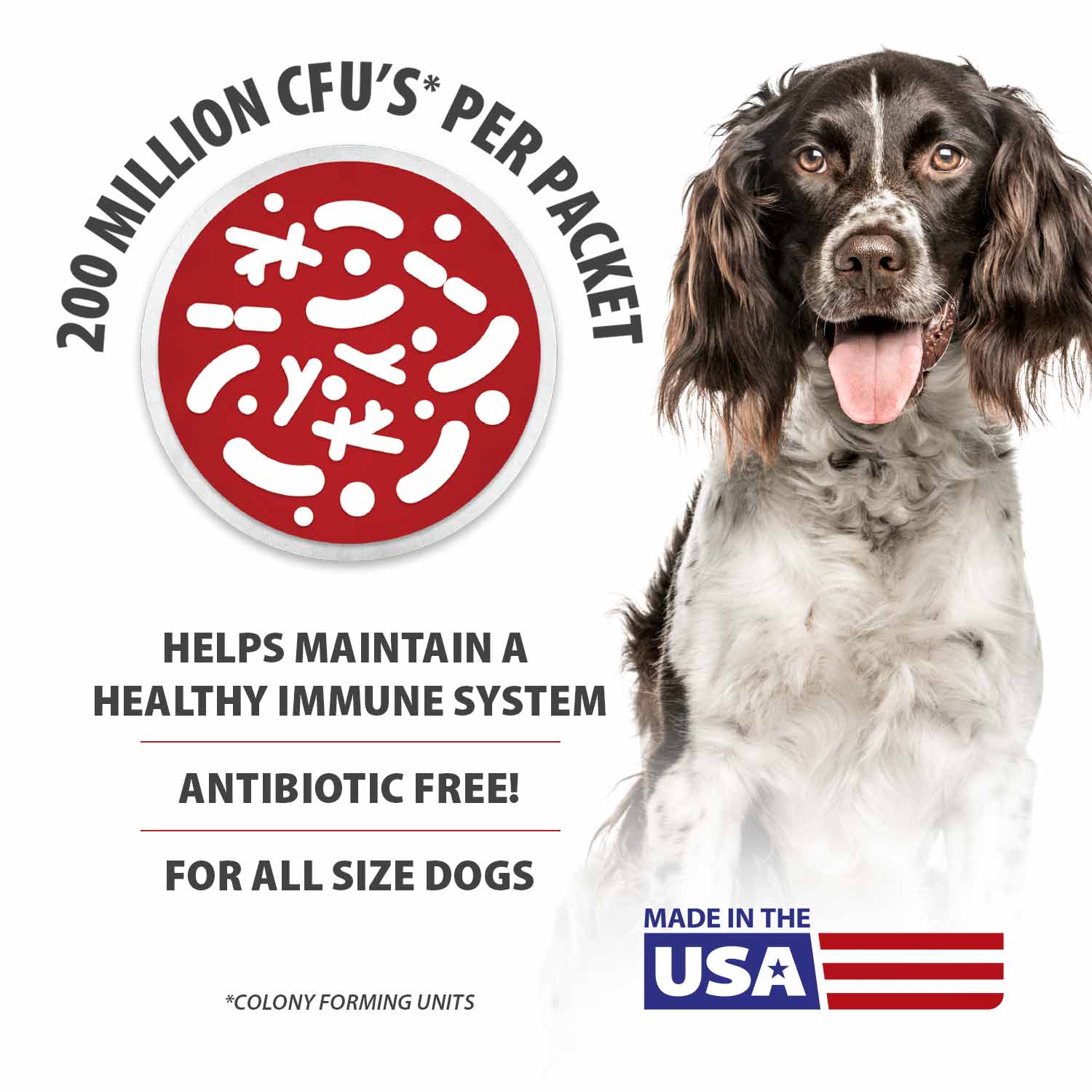 BELLY BUDDY Probiotic Supplement Powder for Dogs – Multi-Strain Digestive & Immune Support