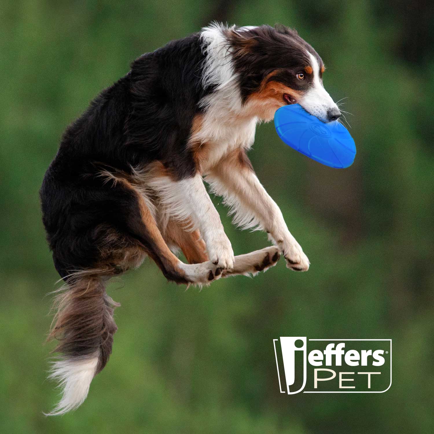 Blue Bone Stamped Frisbee Natural Rubber 8 Inch Dog Toy for Fetching & Chewing