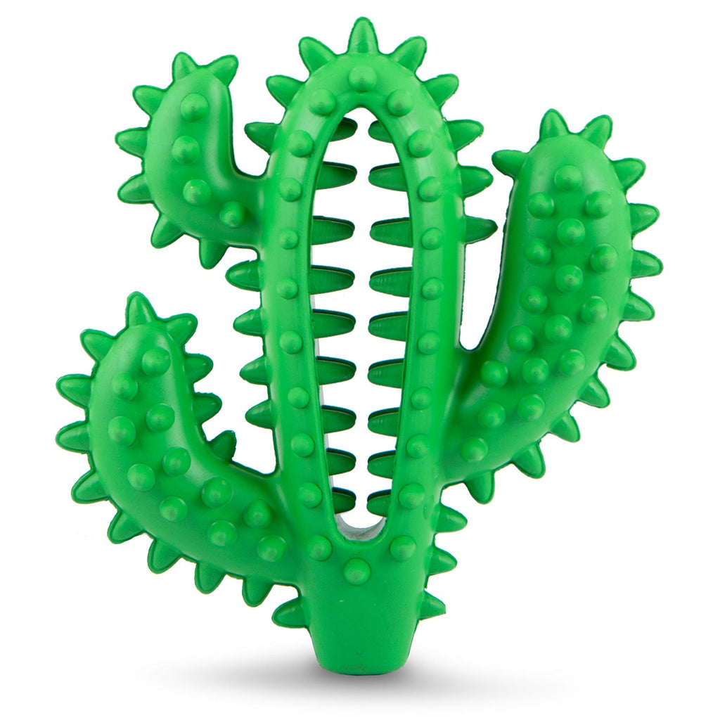 Cactus Natural Rubber Dental Chew Toy for Dogs for Healthy Chewing Habits