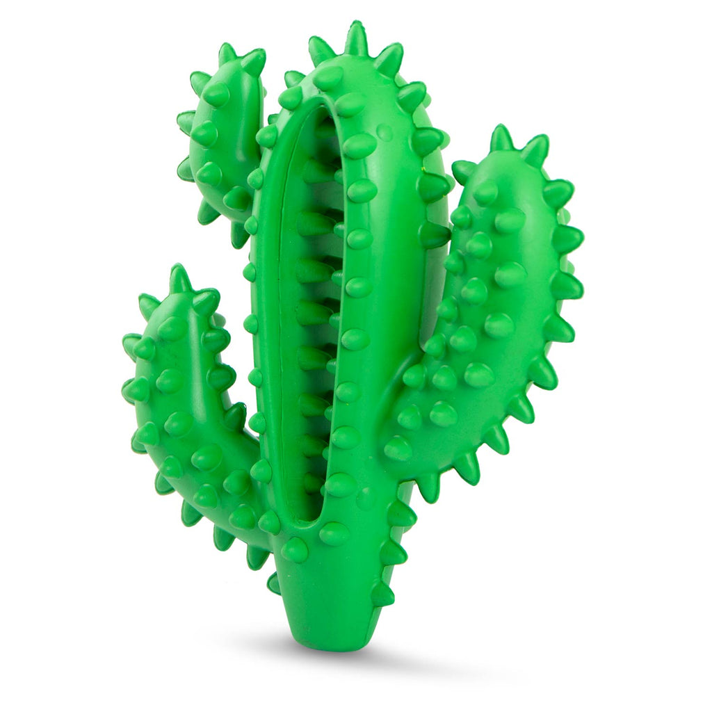 Cactus Natural Rubber Dental Chew Toy for Dogs for Healthy Chewing Habits