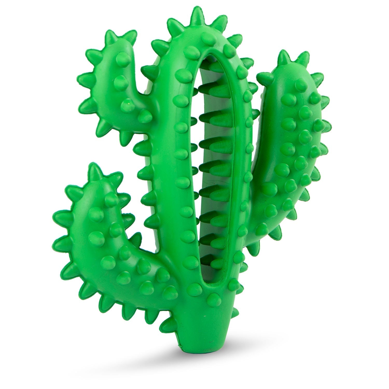 Cactus Natural Rubber Dental Chew Toy for Dogs for Healthy Chewing Habits
