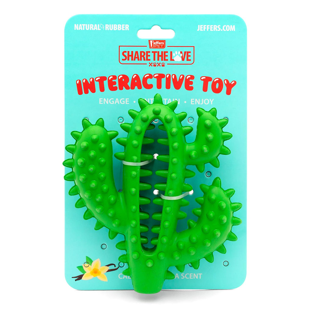 Cactus Natural Rubber Dental Chew Toy for Dogs for Healthy Chewing Habits