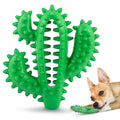 Cactus Natural Rubber Dental Chew Toy for Dogs for Healthy Chewing Habits
