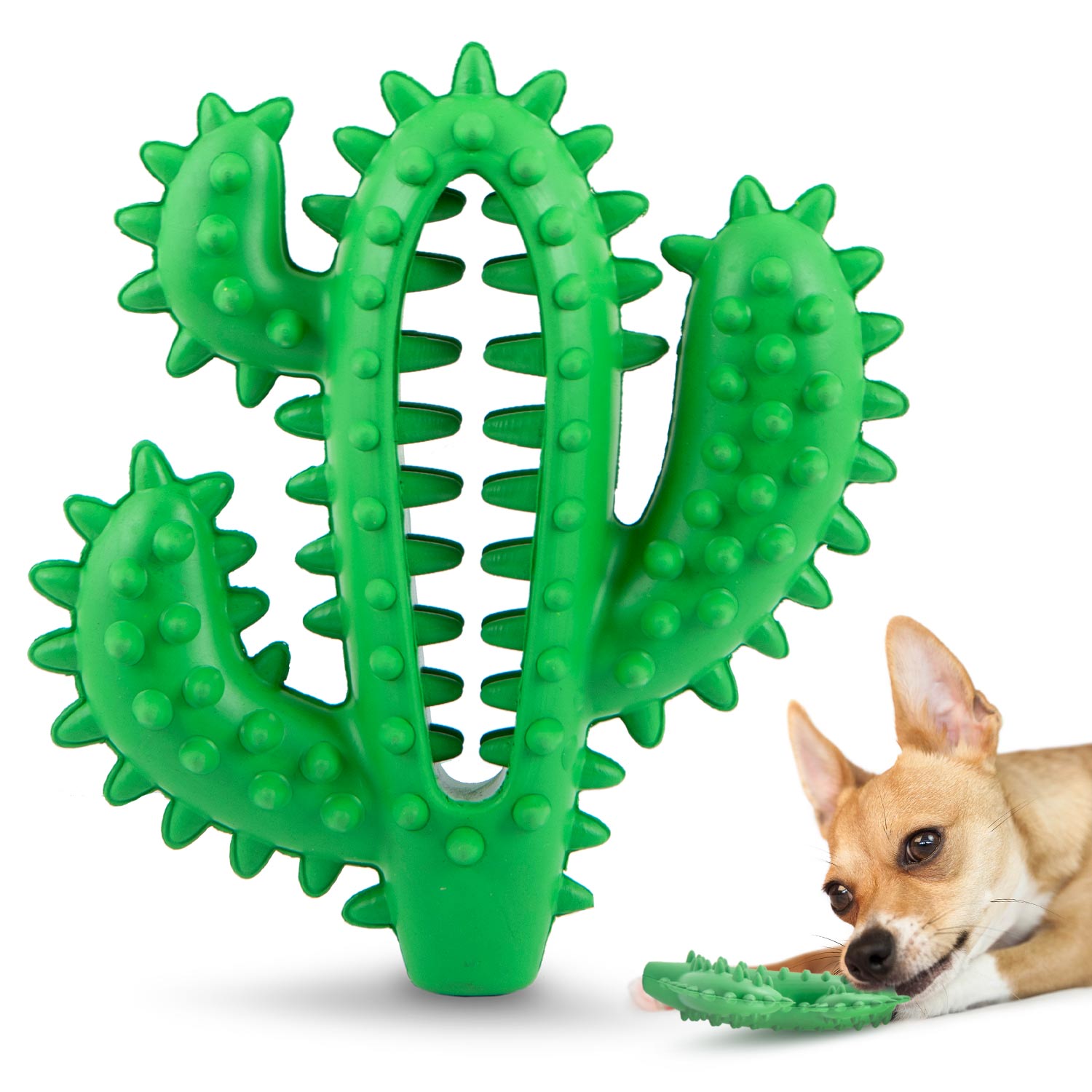 Cactus Natural Rubber Dental Chew Toy for Dogs for Healthy Chewing Habits