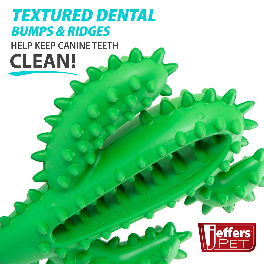 Cactus Natural Rubber Dental Chew Toy for Dogs for Healthy Chewing Habits