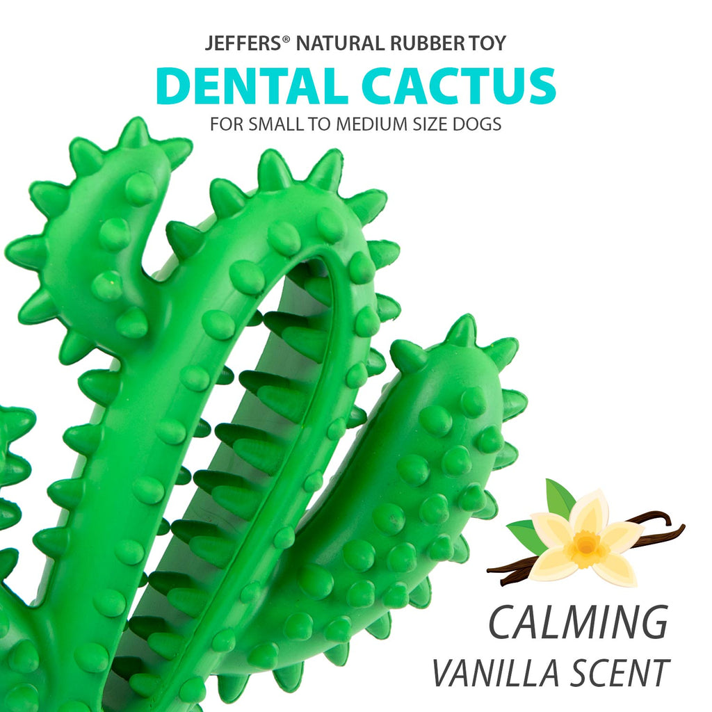 Cactus Natural Rubber Dental Chew Toy for Dogs for Healthy Chewing Habits