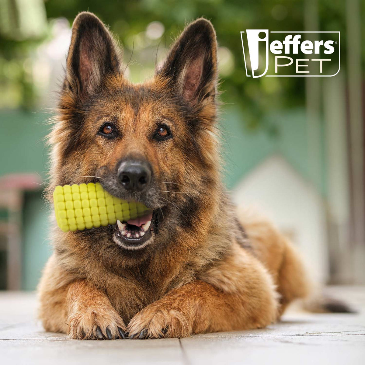 Corn Cob Natural Rubber Stuffable Treat Dispenser Dog Dental Chew Toy
