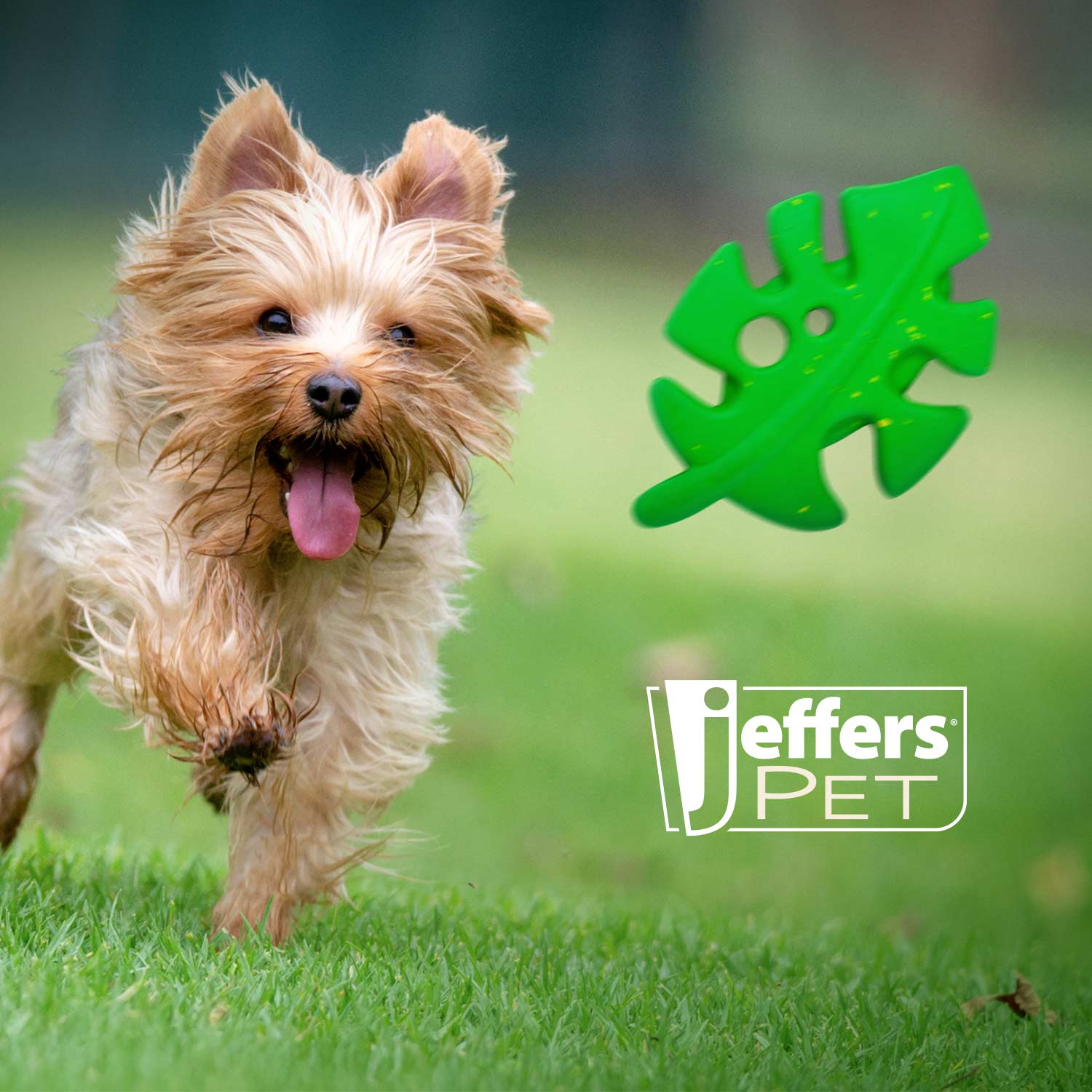 Leaf Shaped Natural Rubber Dog Chew Toy with Dental Benefits and Vanilla Scent for Medium Chewers