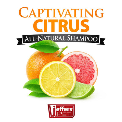 Captivating Citrus All-Natural Flea Bite Relief Shampoo for Dogs and Cats