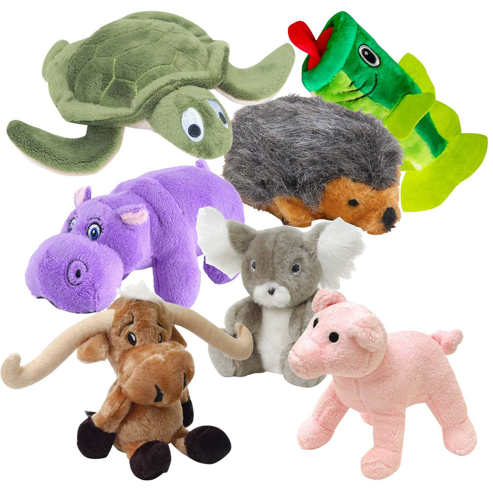 Pet Products