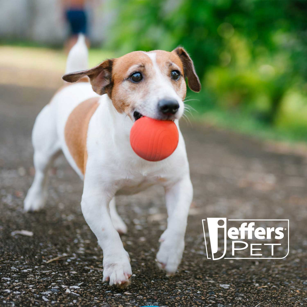 Red Bouncing Ball with Waves Natural Rubber Dental Dog Chew Toy for Energetic Play