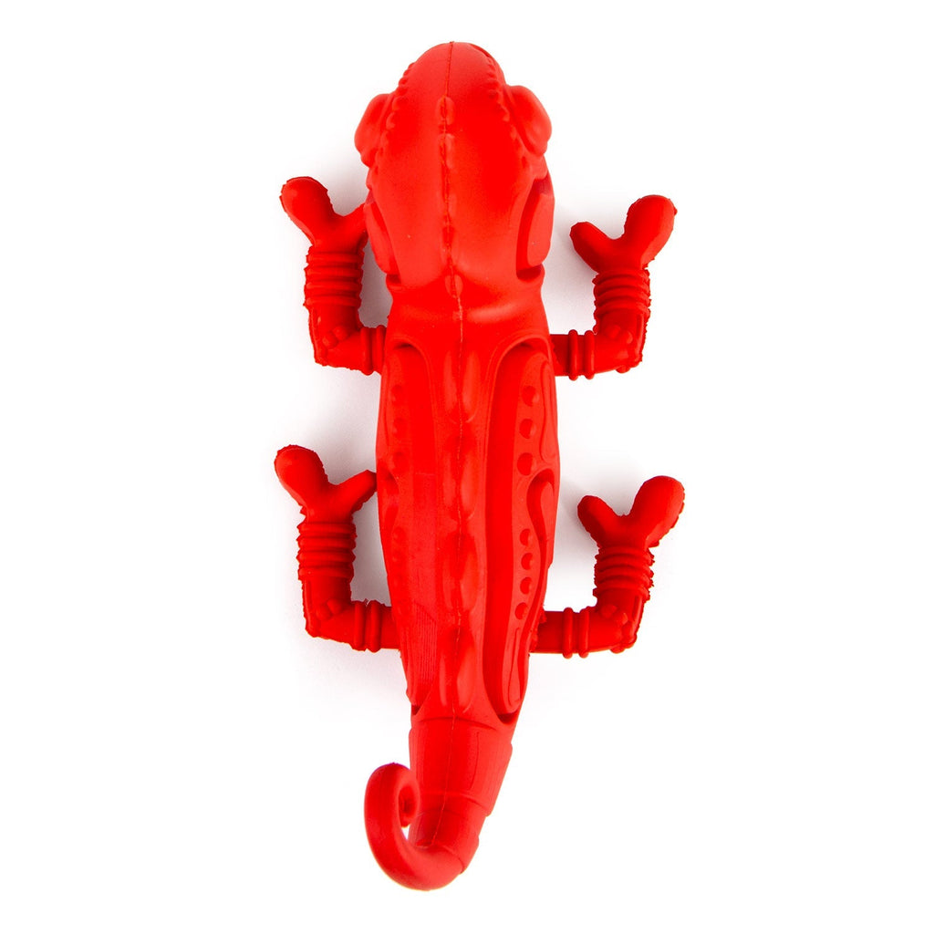 Red Chameleon Natural Eco-Friendly Rubber Dental Dog Chew Toy for Medium Chewers