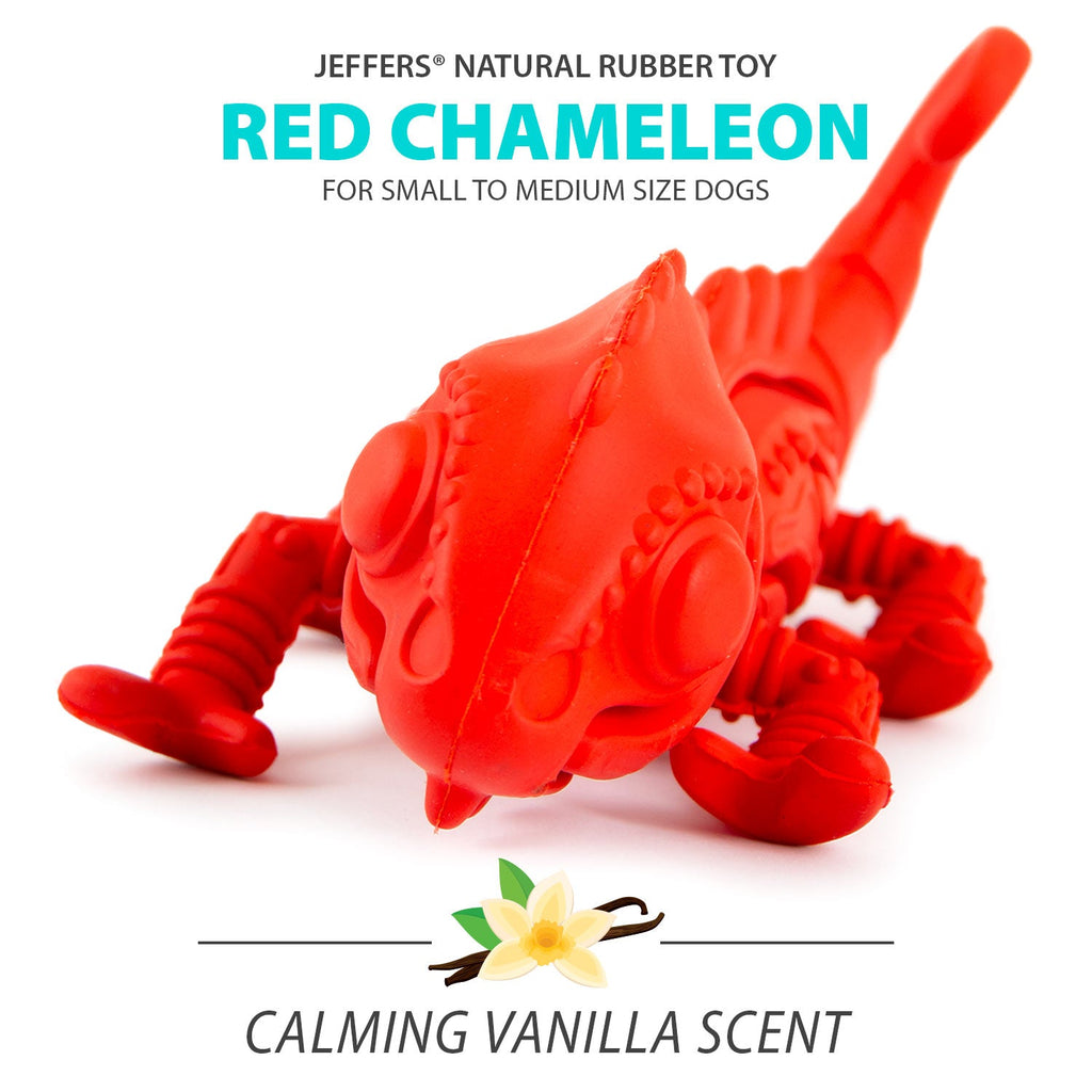 Red Chameleon Natural Eco-Friendly Rubber Dental Dog Chew Toy for Medium Chewers
