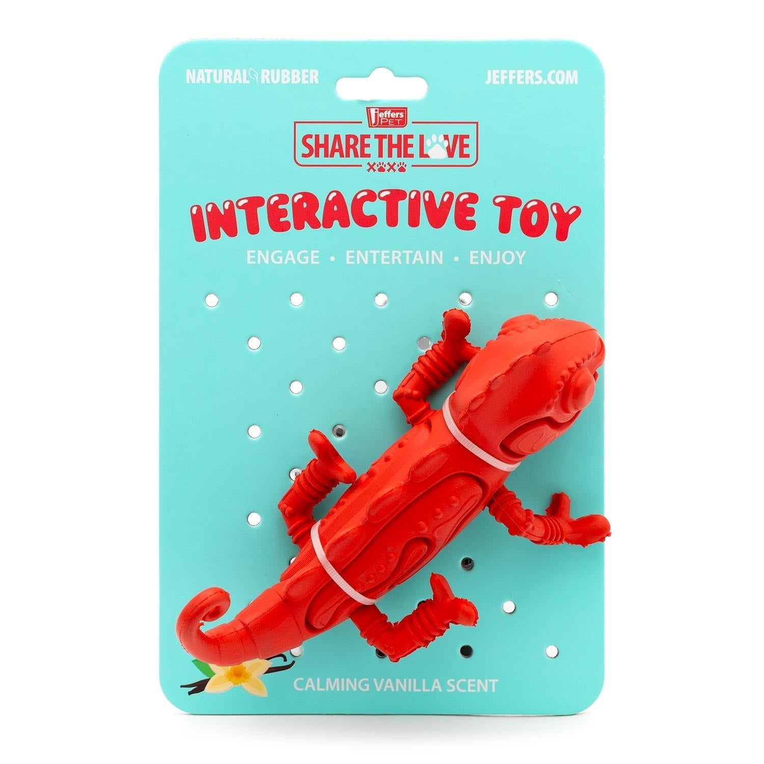 Red Chameleon Natural Eco-Friendly Rubber Dental Dog Chew Toy for Medium Chewers