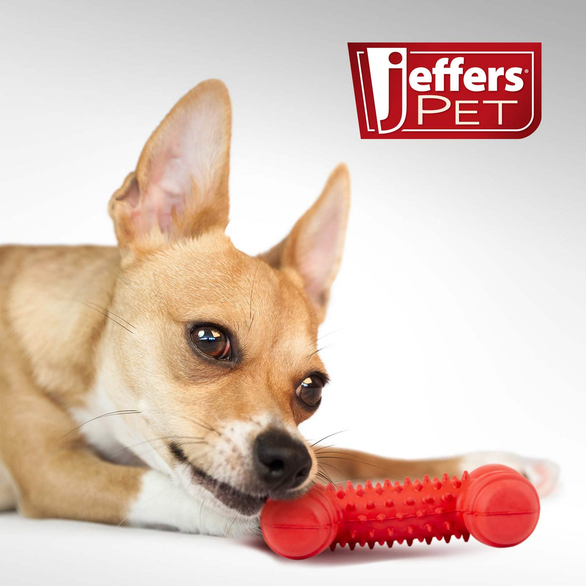 Red Dental Bone Natural Rubber Dog Chew Toy for Healthy Teeth and Gums