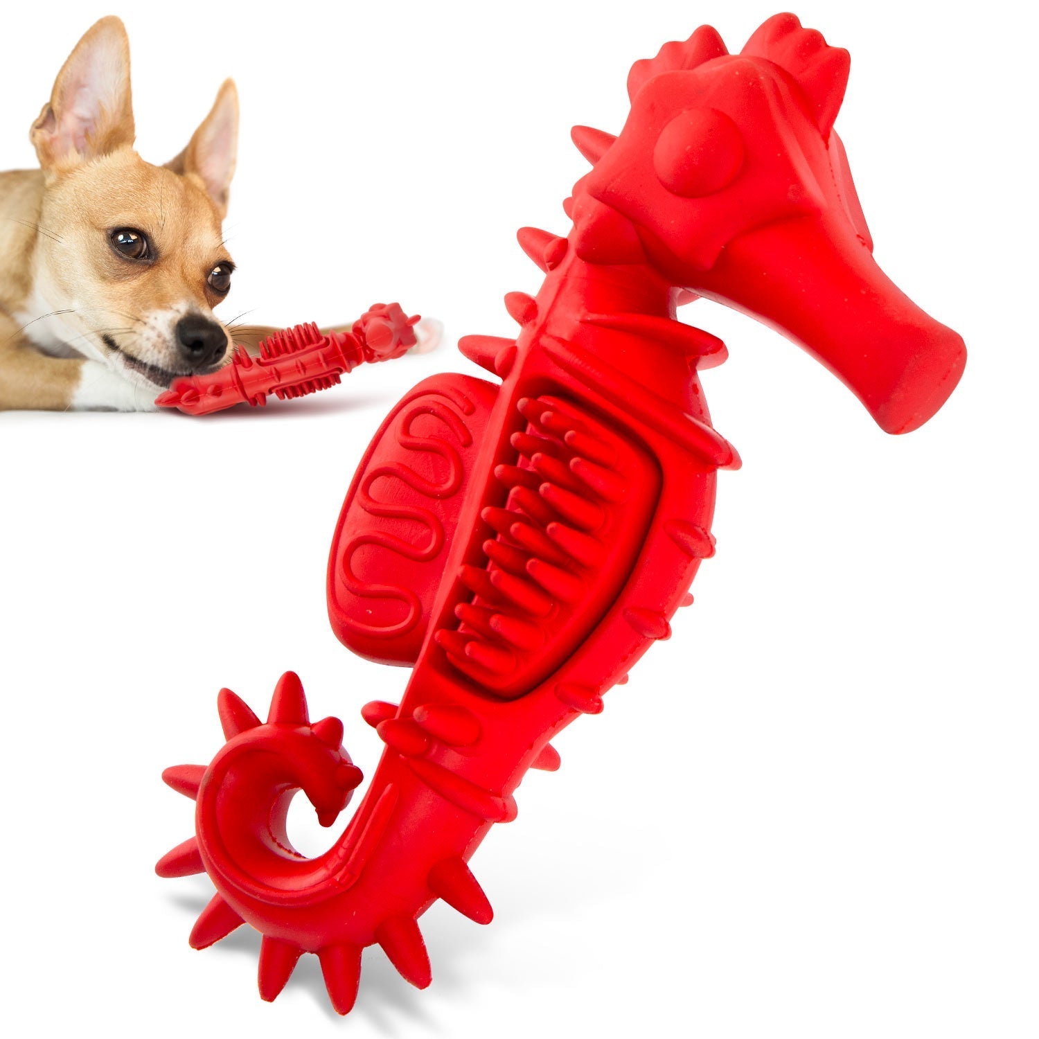 Red Seahorse Natural Rubber Dog Chew Toy with Vanilla Scent and Textured Ridges for Dental Health