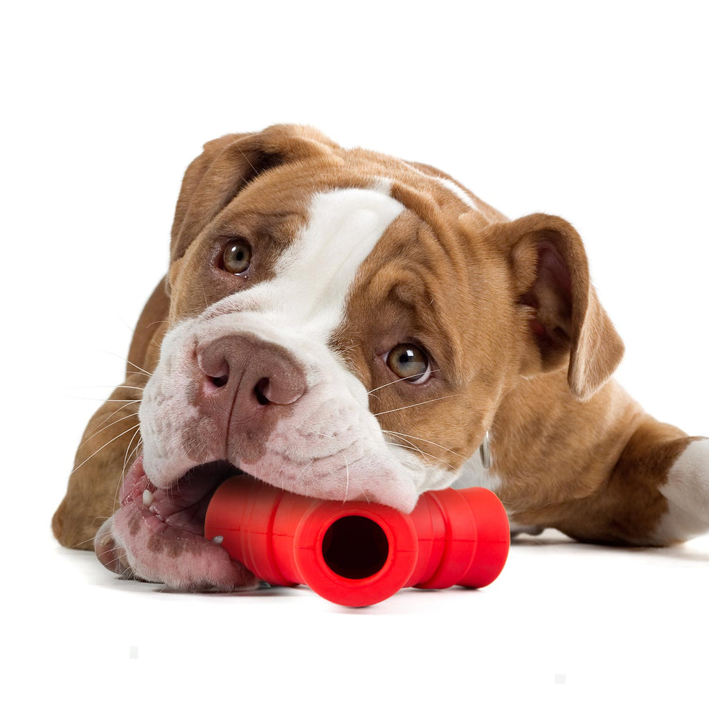 Red "Y" Natural Rubber Dental Dog Chew Toy for Medium Chewers
