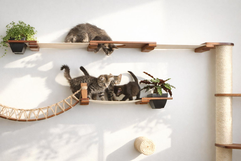 The Juggernaut - Indoor Cat Playground for Wall