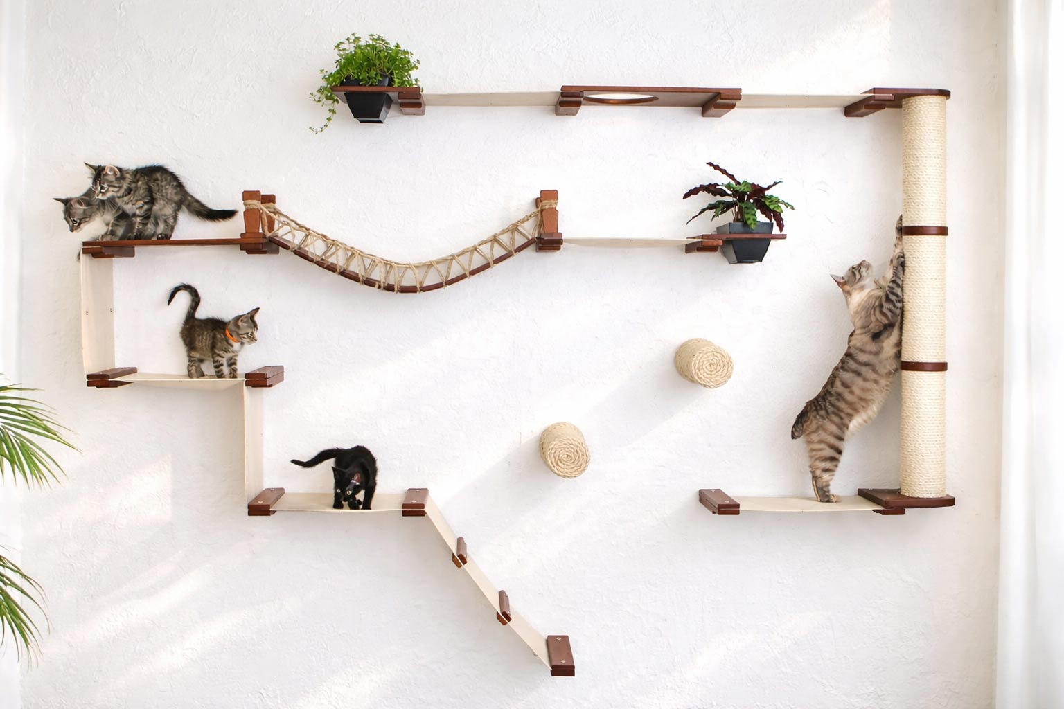 The Juggernaut - Indoor Cat Playground for Wall