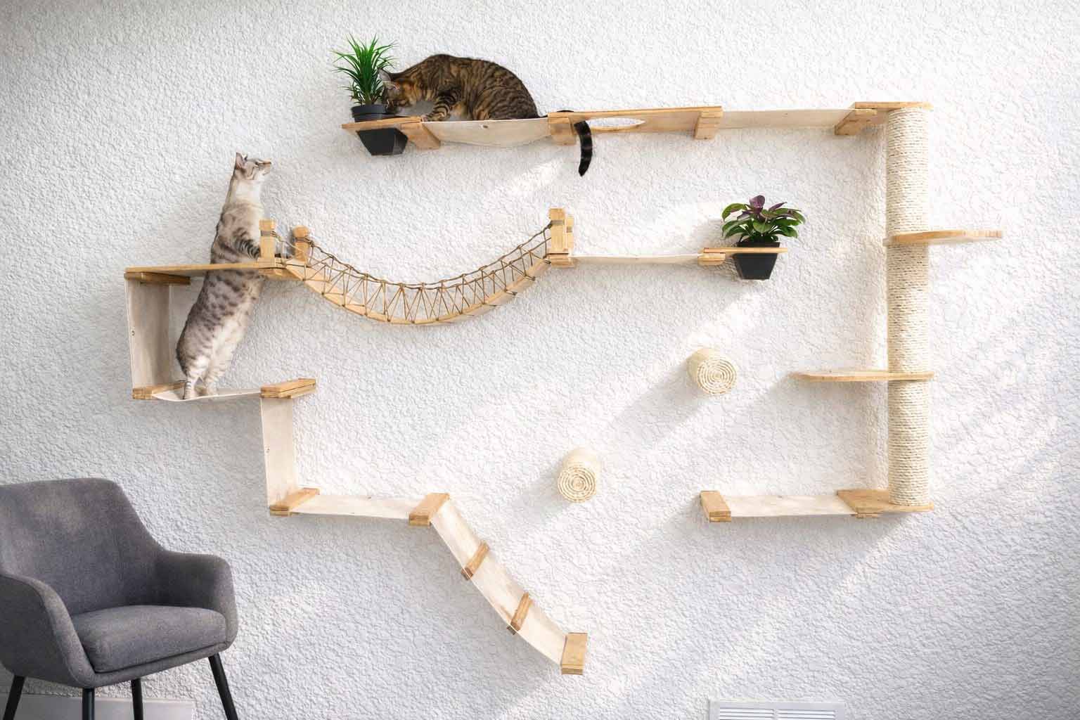 The Juggernaut - Indoor Cat Playground for Wall