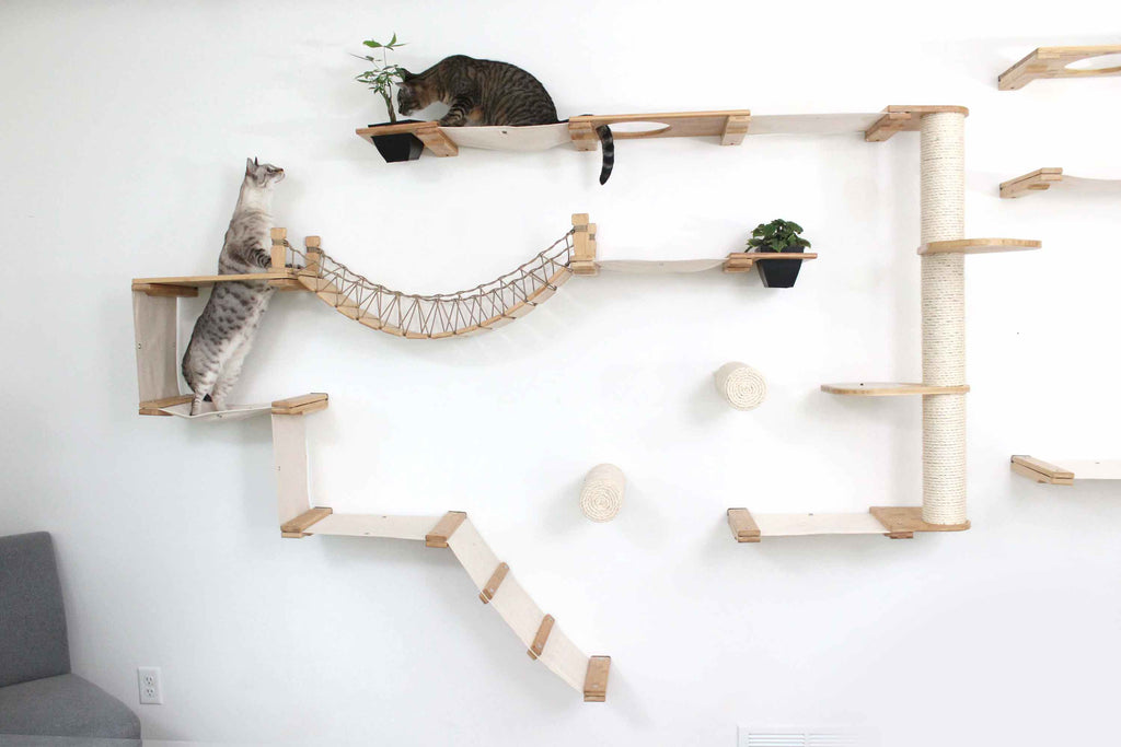 The Juggernaut - Indoor Cat Playground for Wall