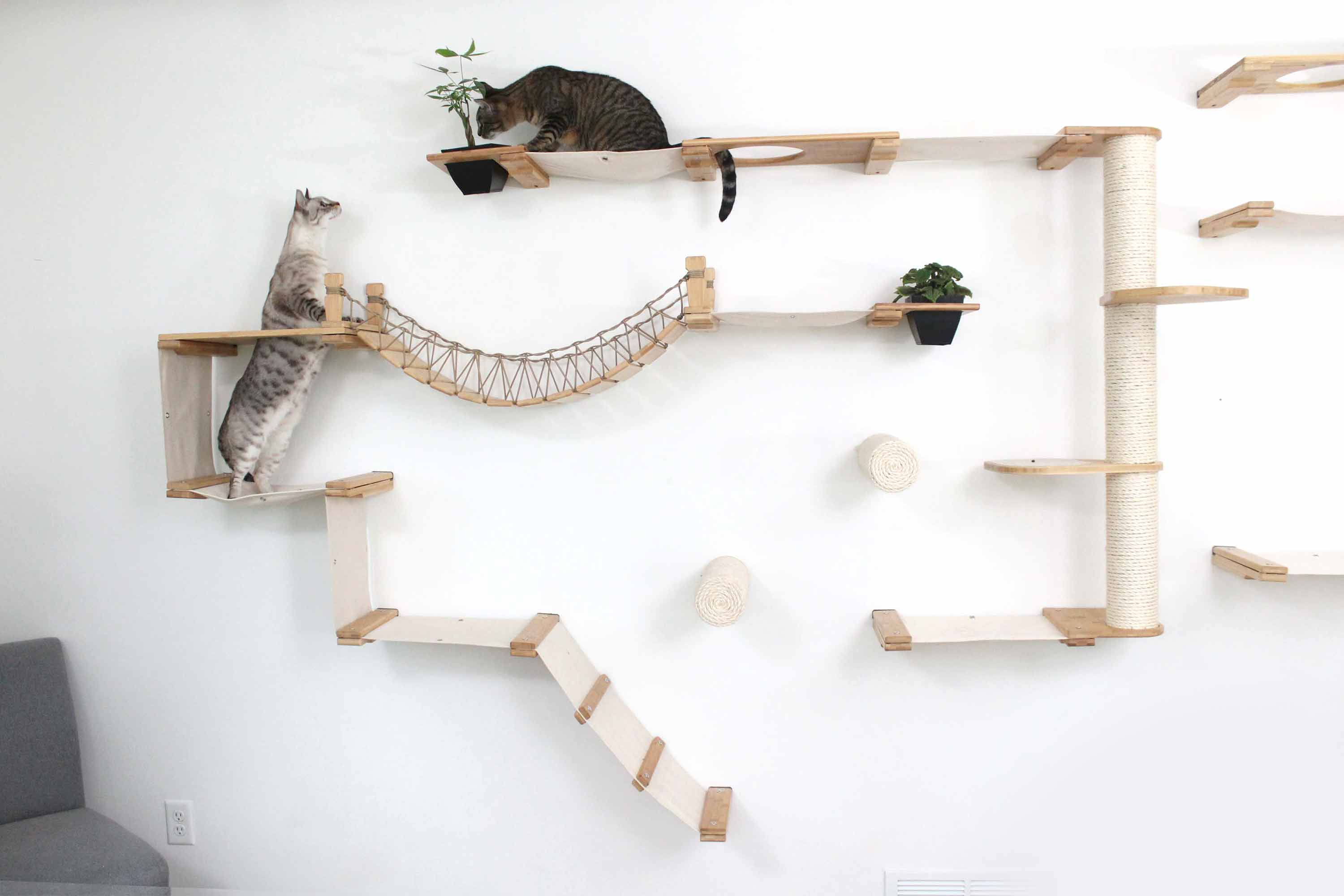 The Juggernaut - Indoor Cat Playground for Wall