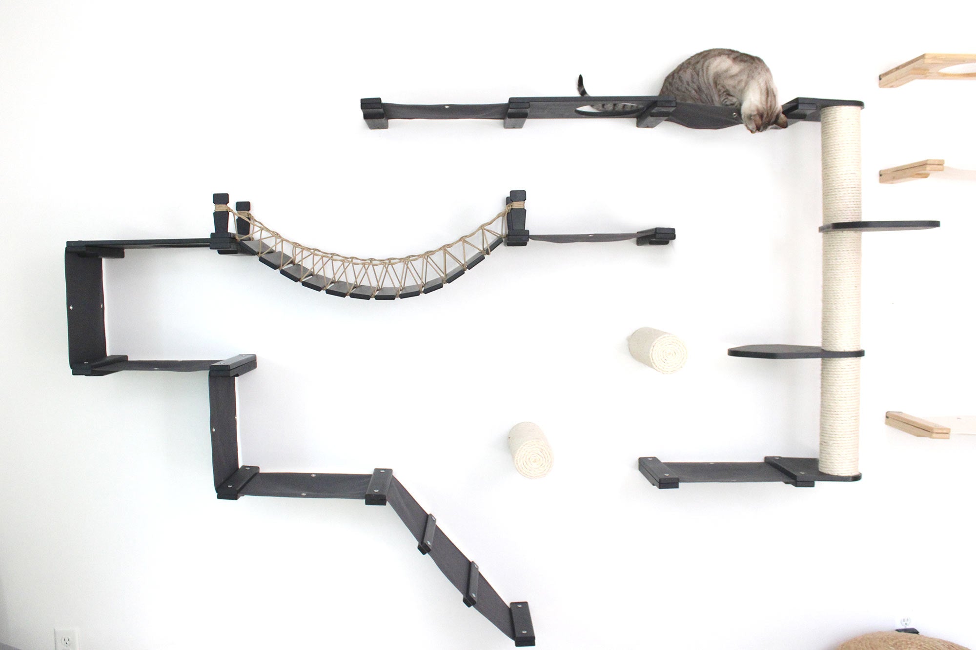 The Juggernaut - Indoor Cat Playground for Wall