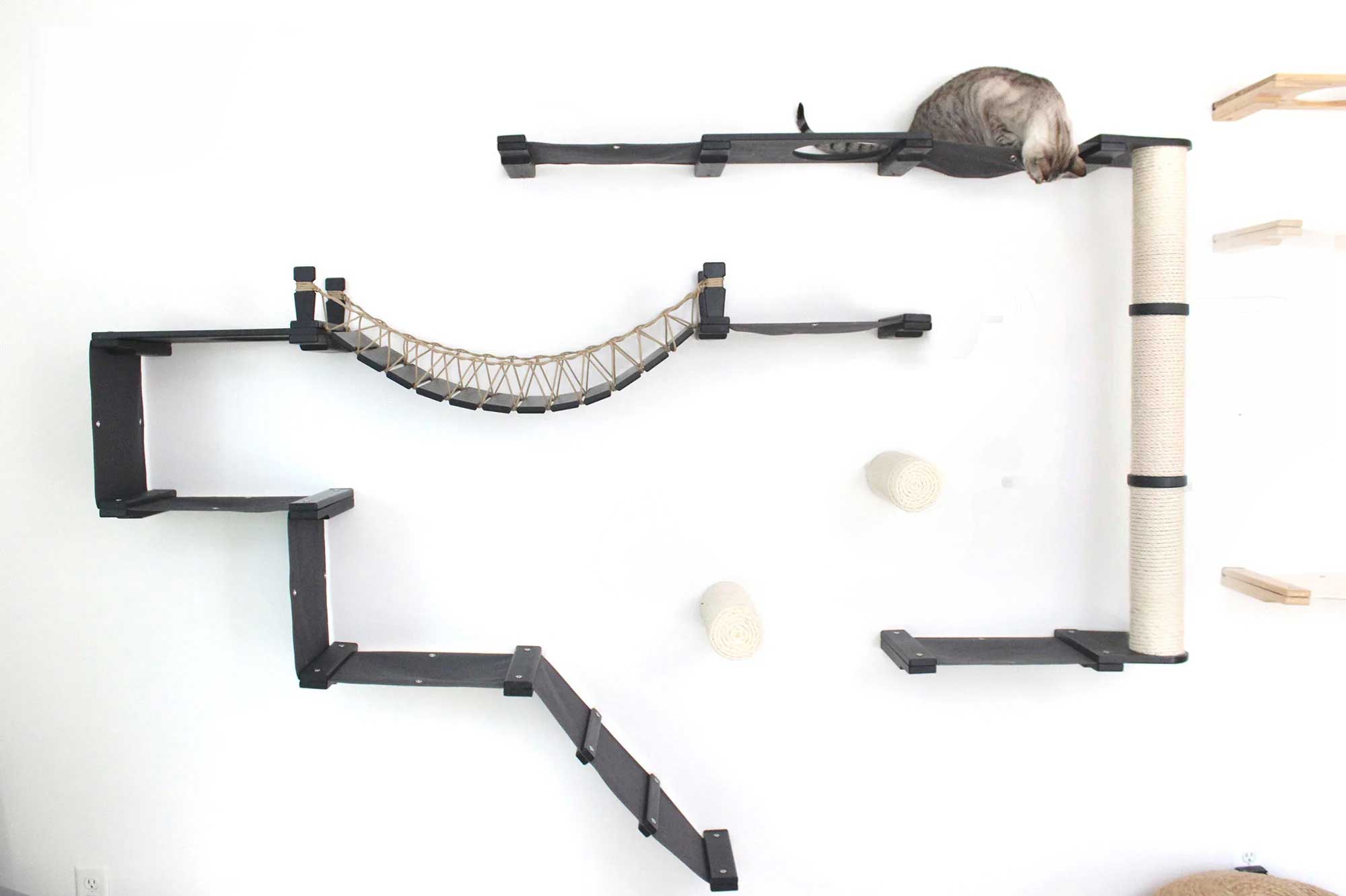 The Juggernaut - Indoor Cat Playground for Wall