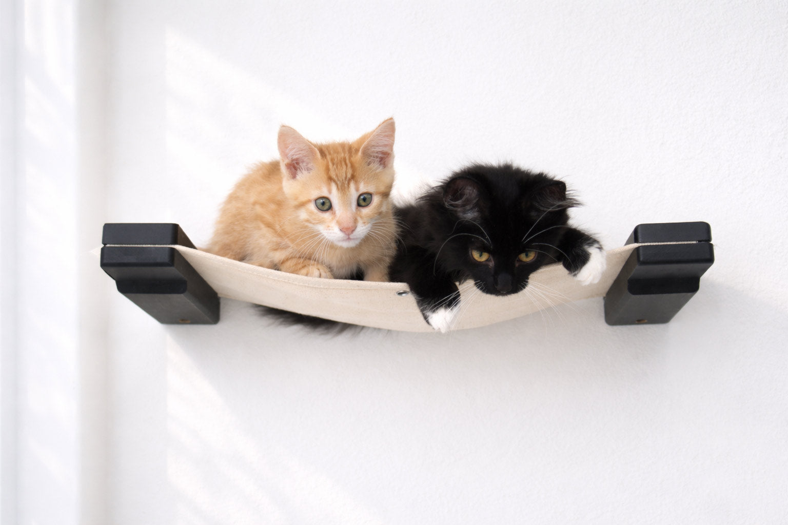 Hanging Cat Bed Hammock