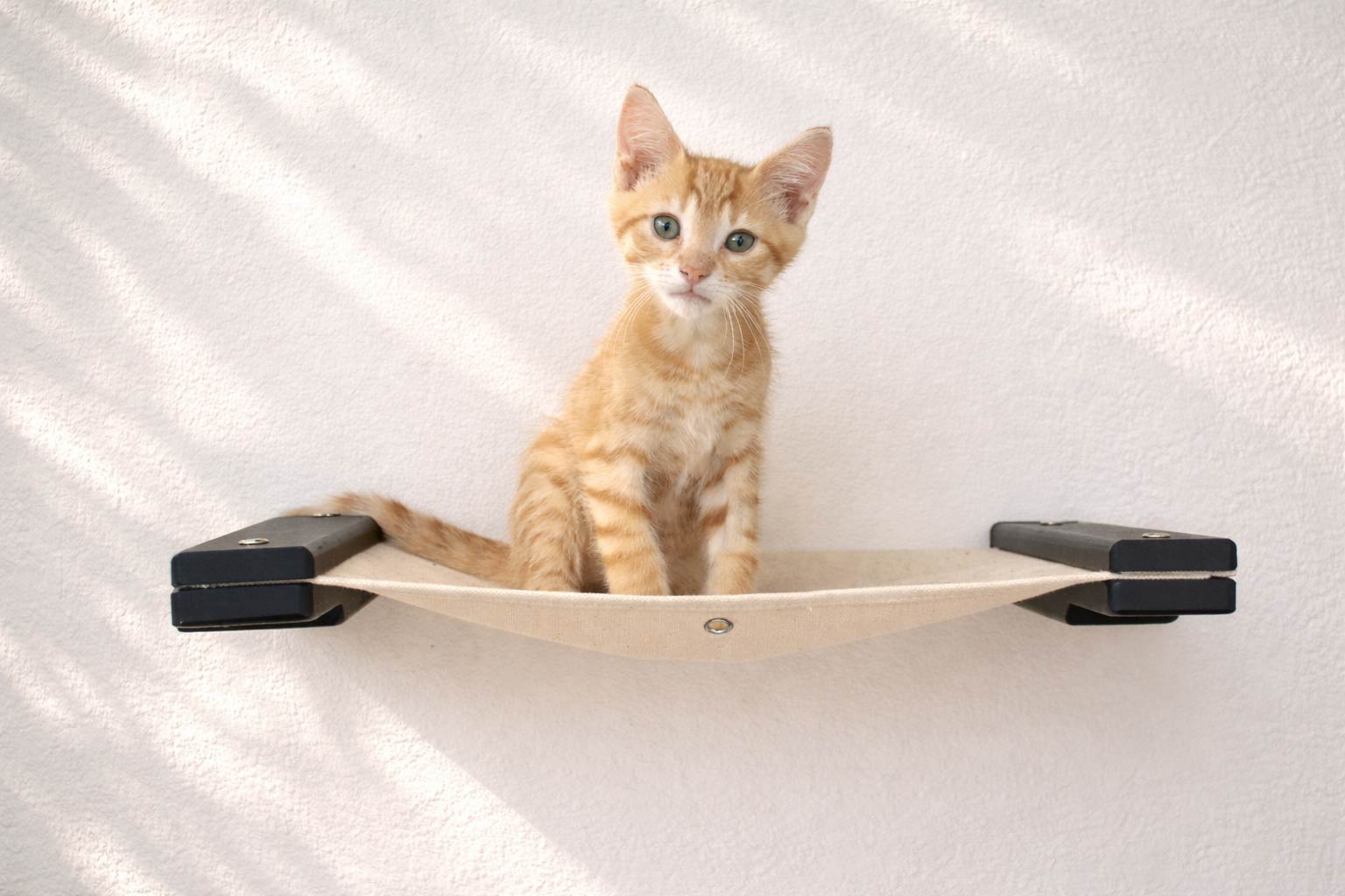 Hanging Cat Bed Hammock