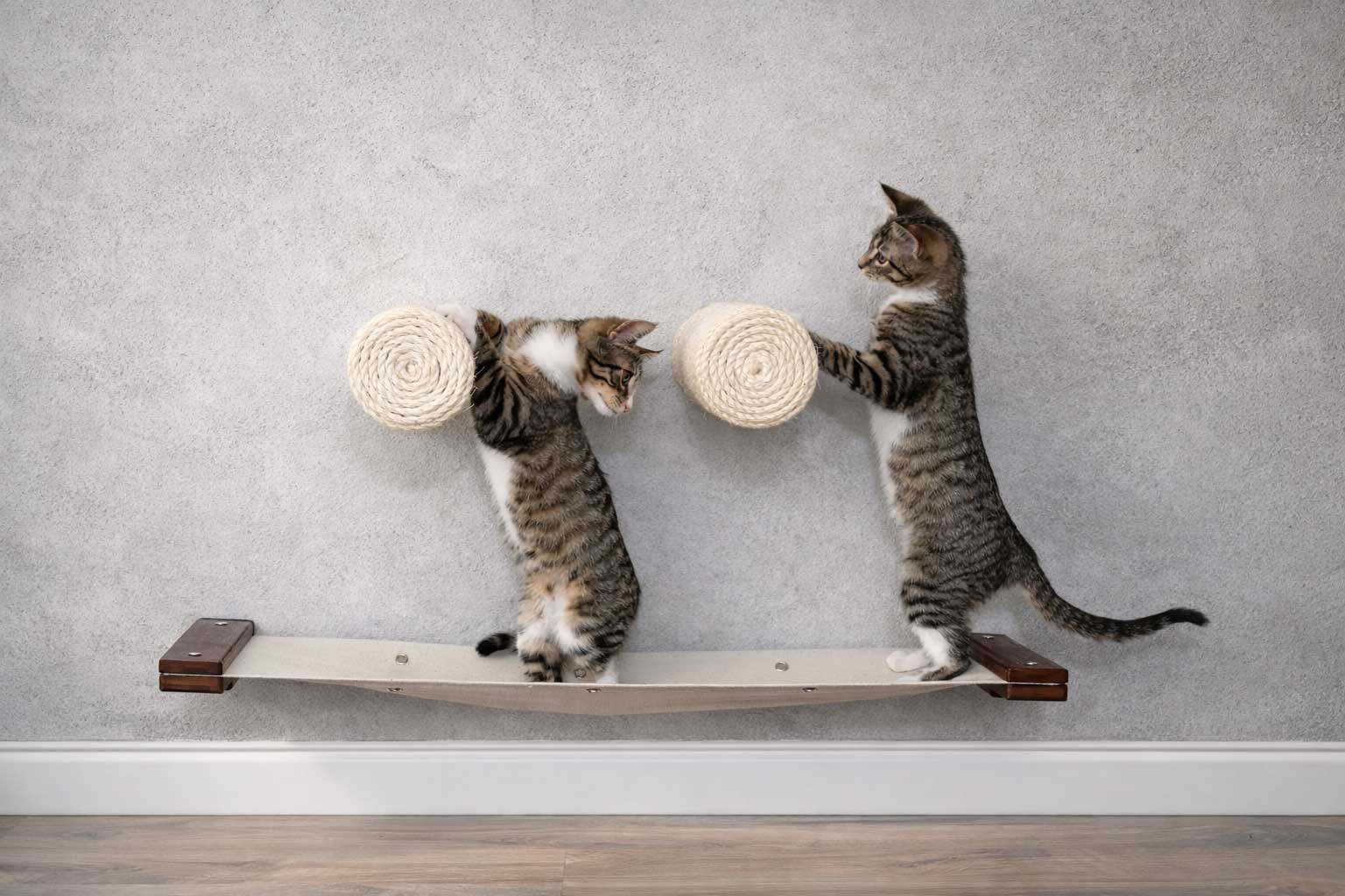 Floating Cat Step for Wall