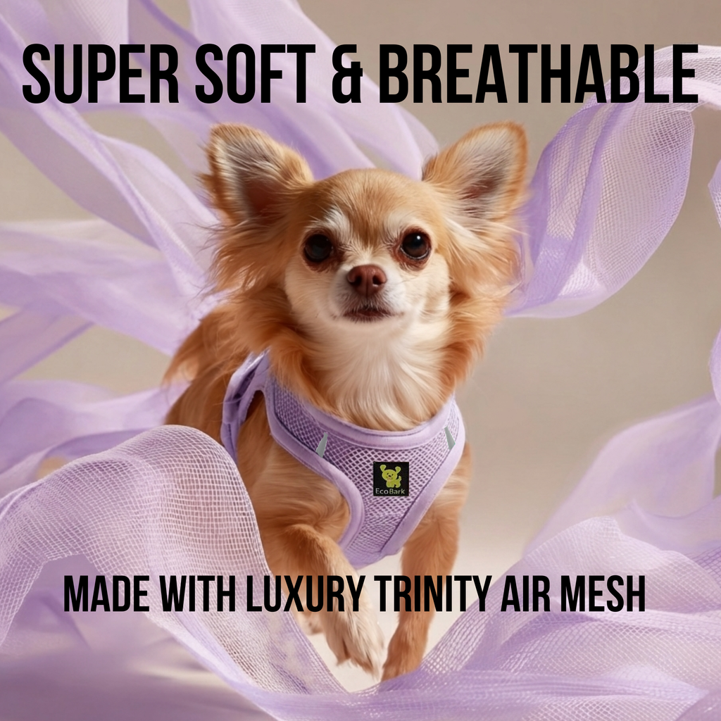 EcoBark Step In Dog Harness - XXXS to Small Breeds- Reflective Soft Mesh Harness for Teacup, Small Dogs and Puppies / Lavender