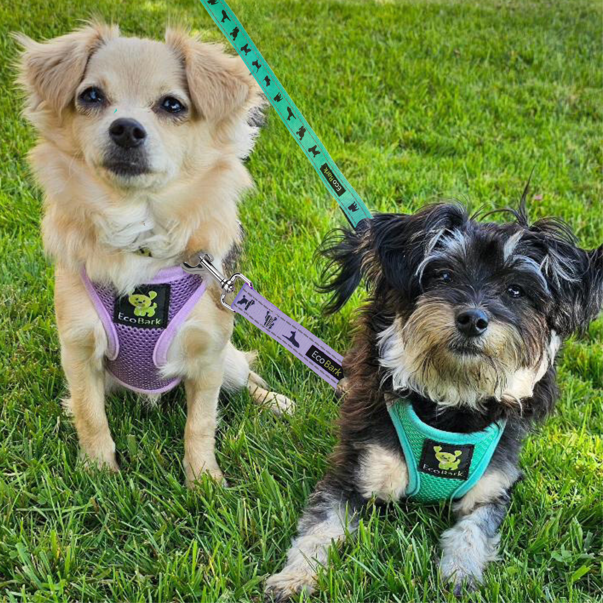 EcoBark Step In Dog Harness - XXXS to Small Breeds- Reflective Soft Mesh Harness for Teacup, Small Dogs and Puppies / Lavender