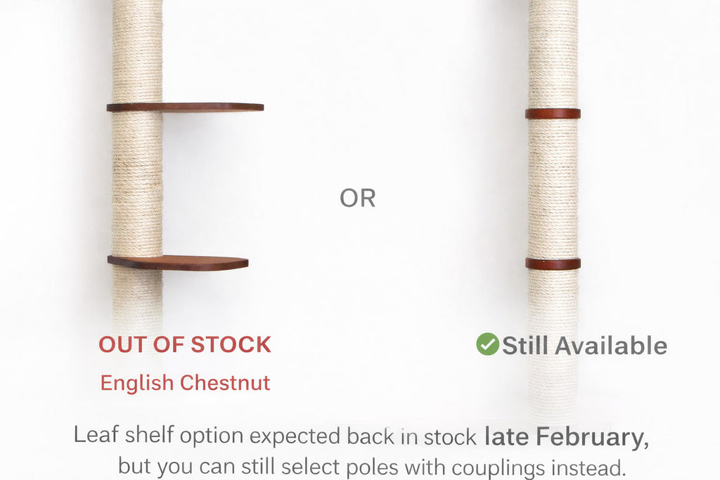 The Roman - A Wall Mounted Cat Scratcher Tree