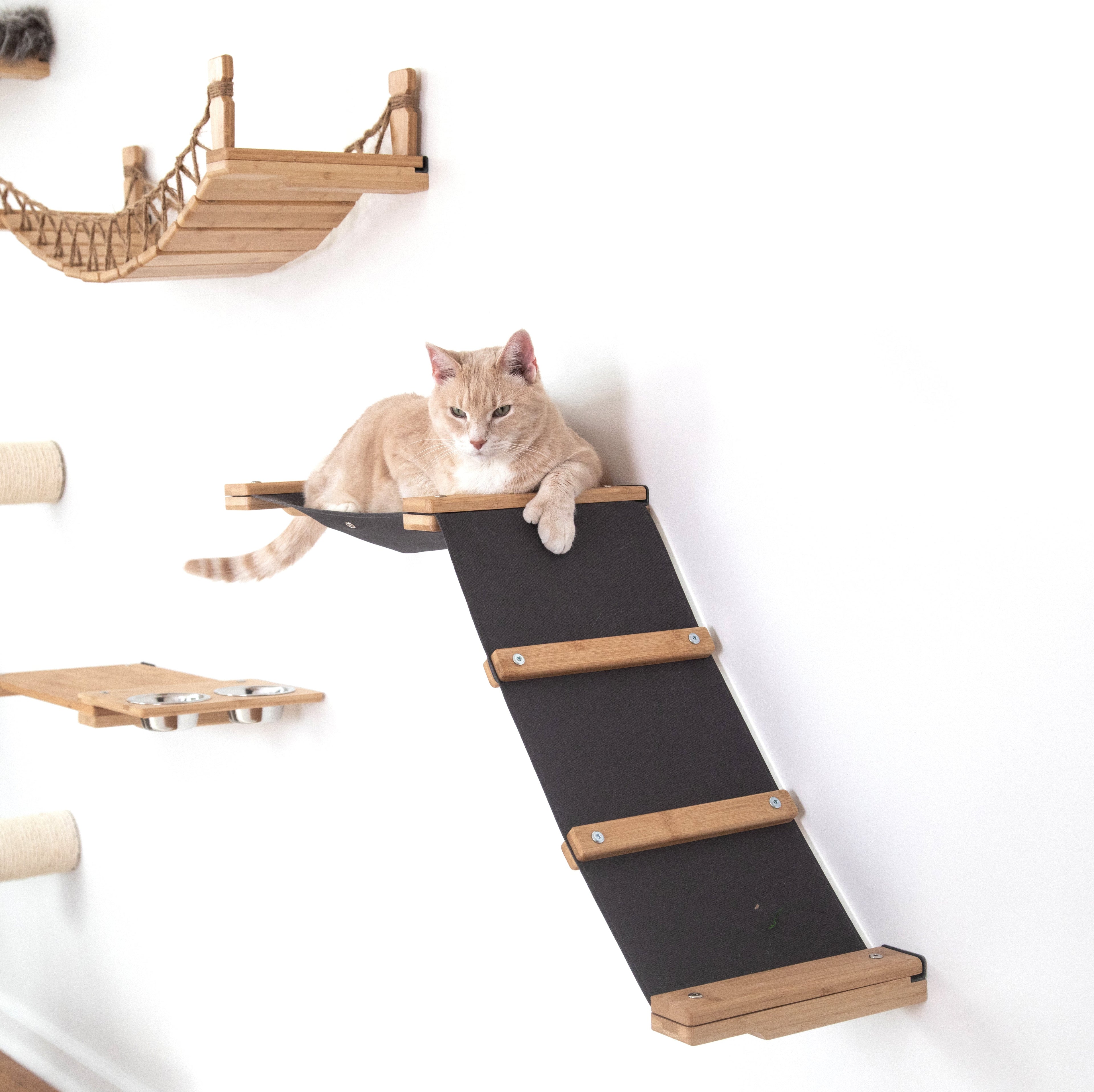 The Lift- Cat Hammock Bed