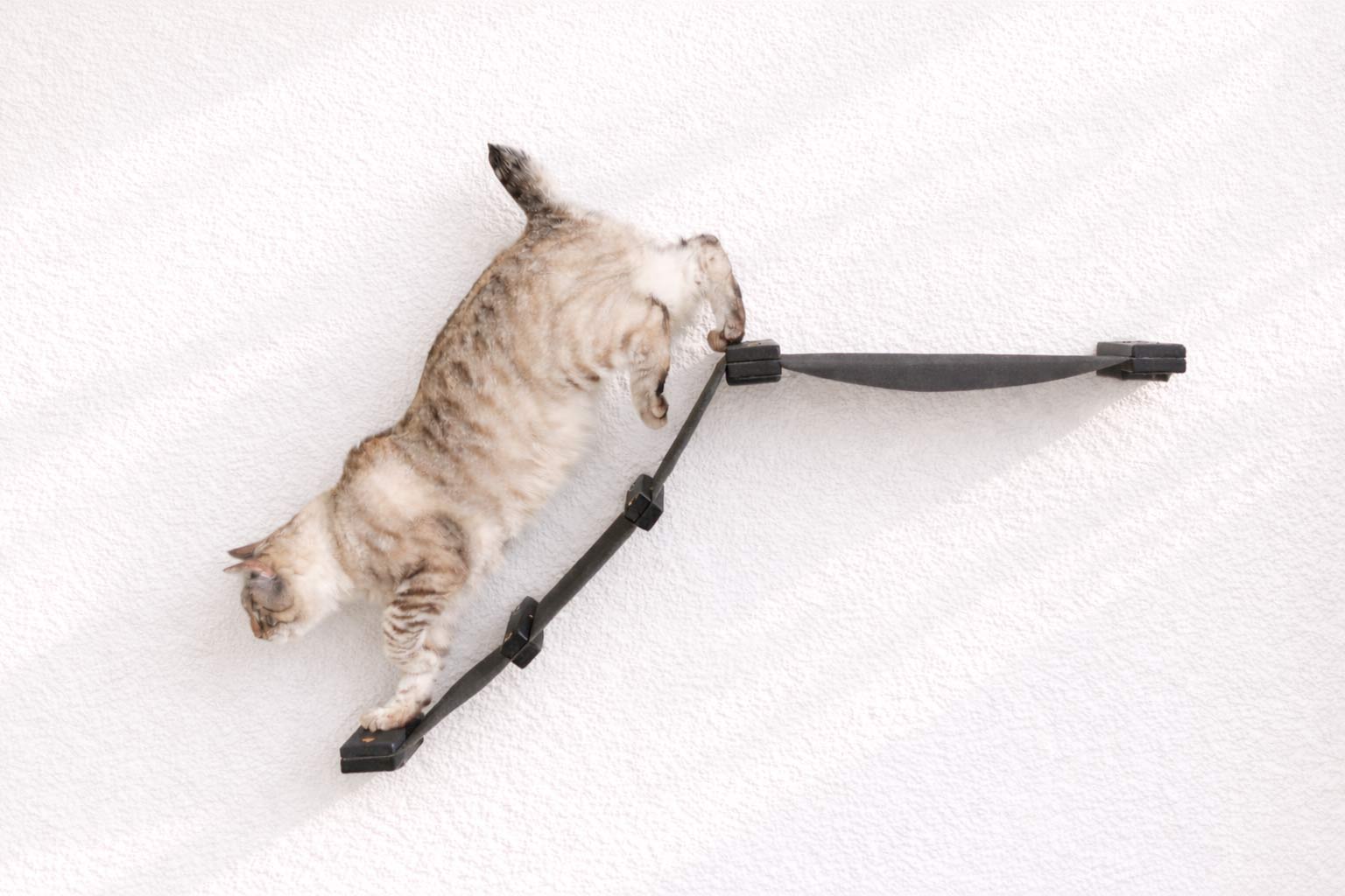 The Lift- Cat Hammock Bed