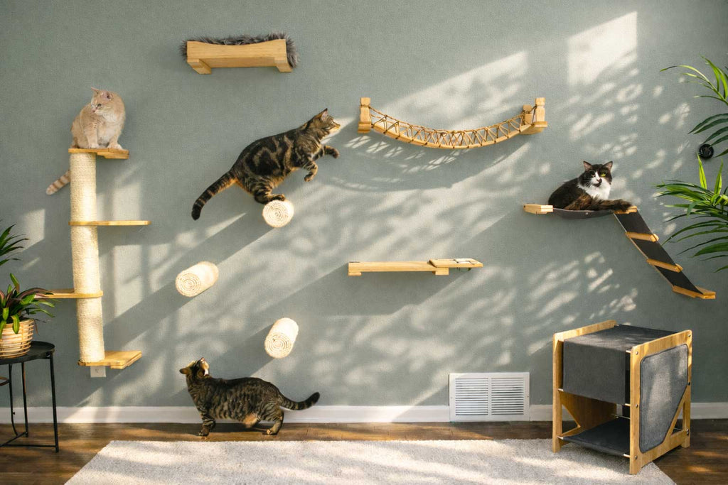 Cat Bridge for Wall