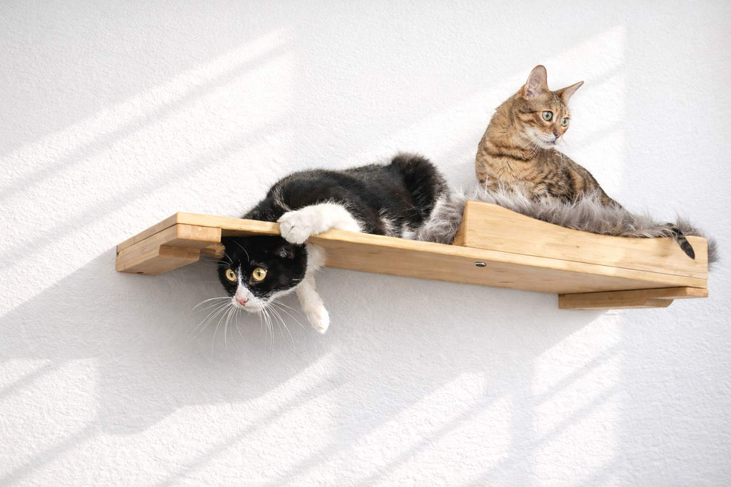 The Cat Nest Bed