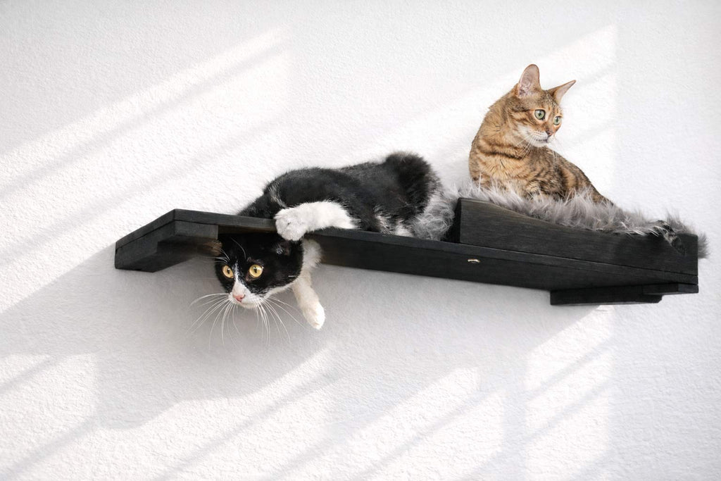 The Cat Nest Bed