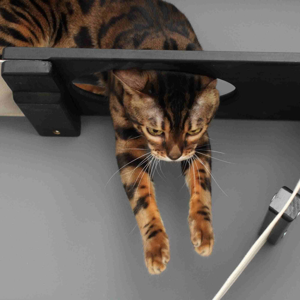 The Plateau - Horizontal Cat Scratcher Bed Set