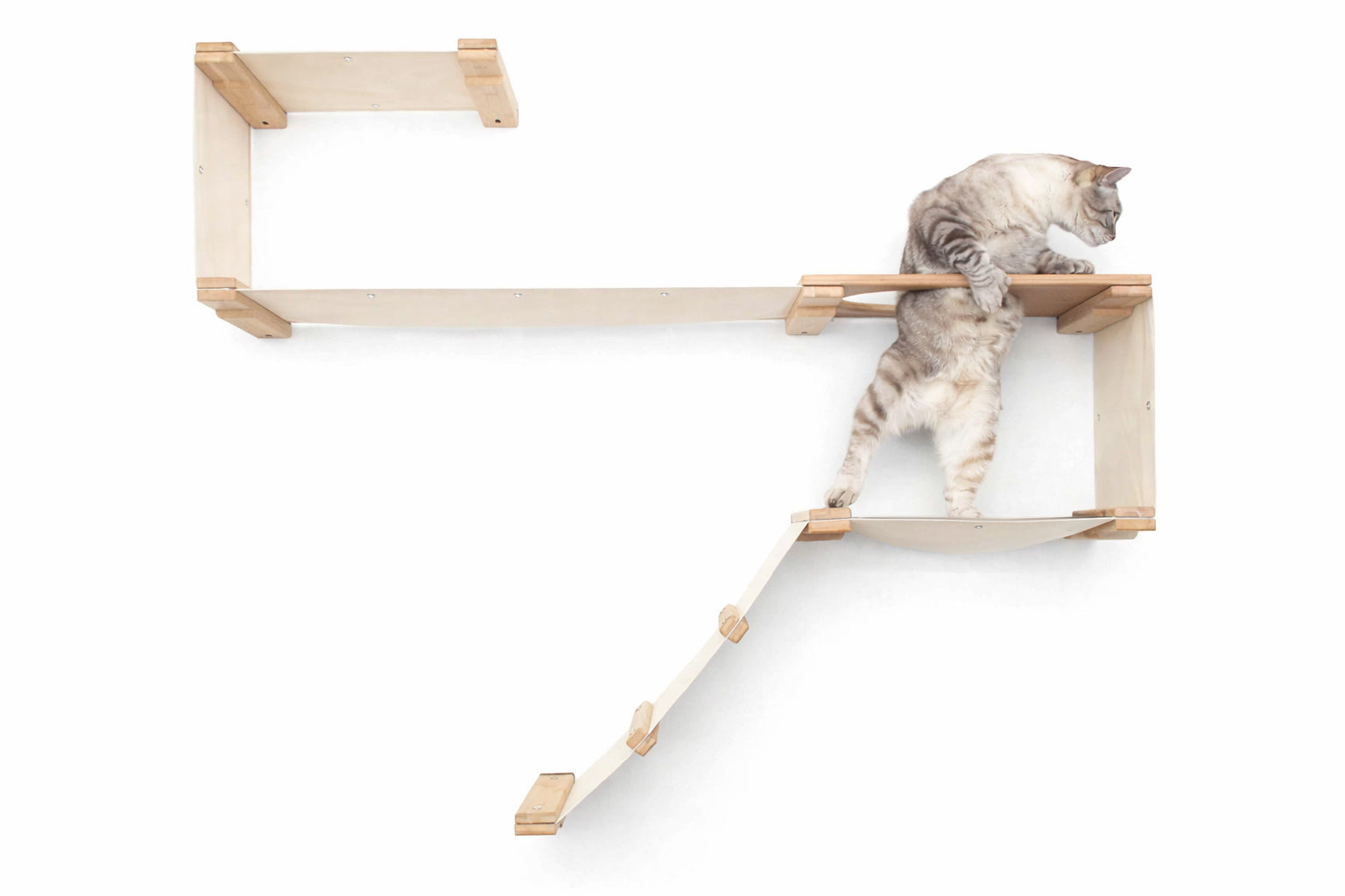 The Play - A Cat Play Wall System